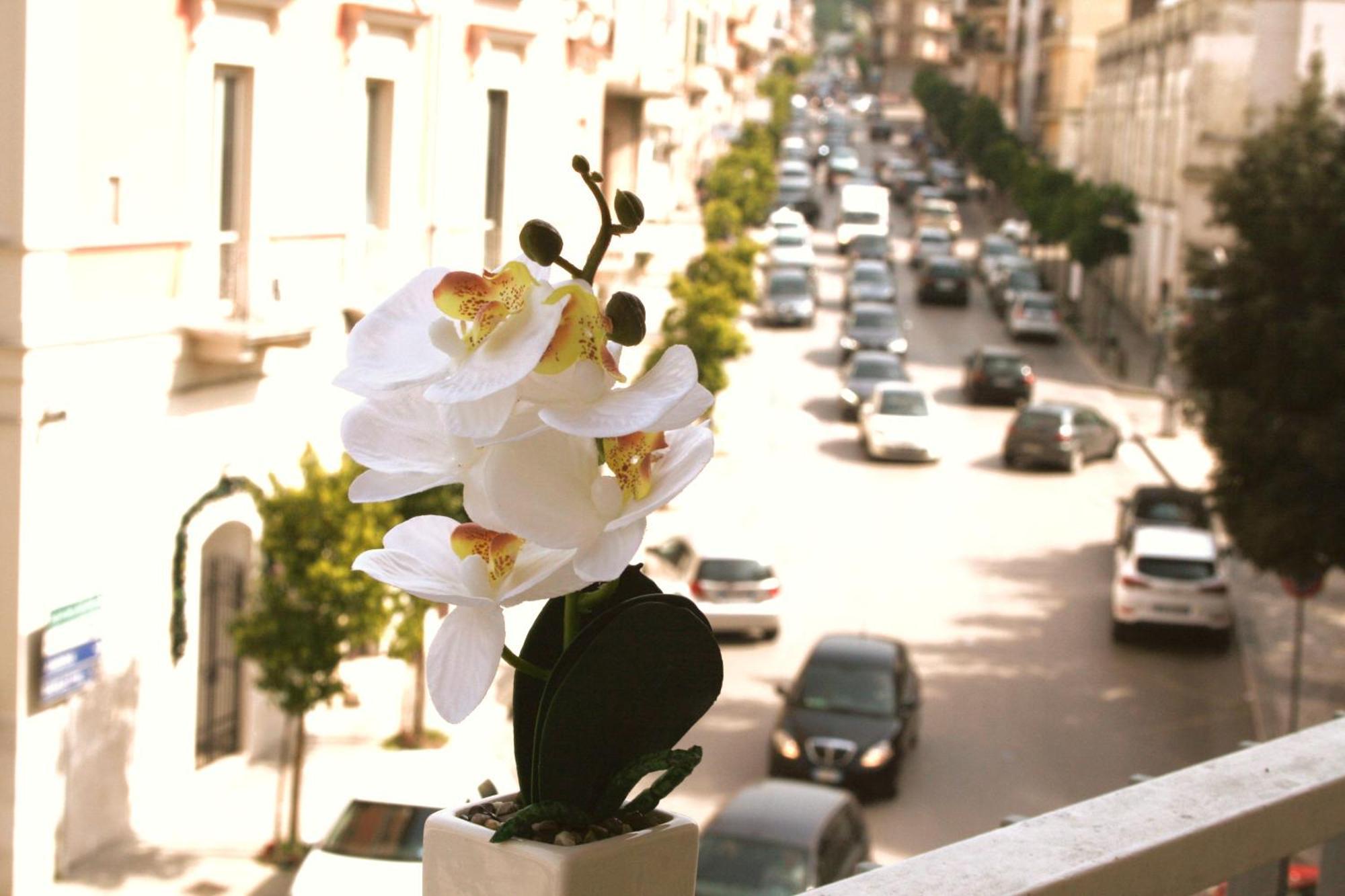 Dimore Demetra Canosa di Puglia Extérieur photo